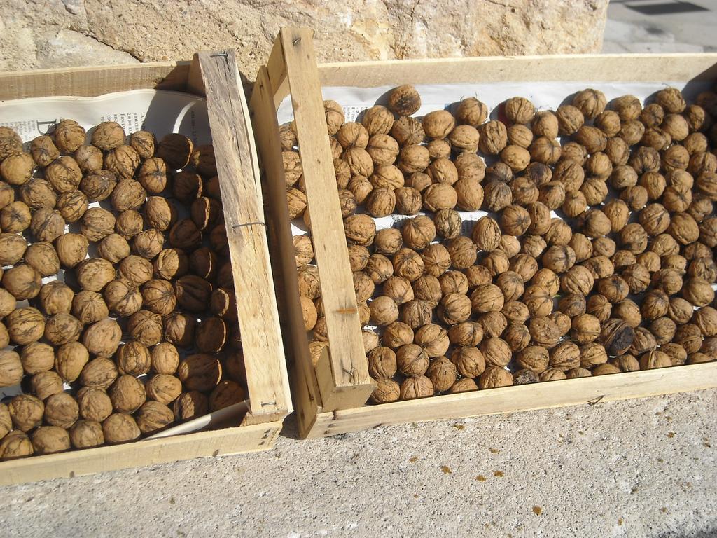 לינה וארוחת בוקר Menée Le Sareymond מראה חיצוני תמונה